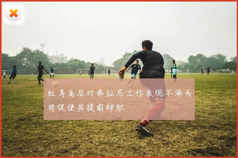红鸟高层对弗拉尼工作表现不满或将促使其提前辞职