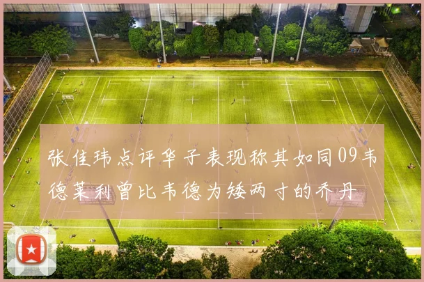 张佳玮点评华子表现称其如同09韦德莱利曾比韦德为矮两寸的乔丹